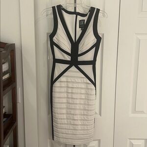 JAX Sz 2 Sheath Bodycon Dress Ivory Black Pleated